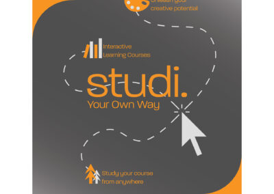 Online Study Advertisement